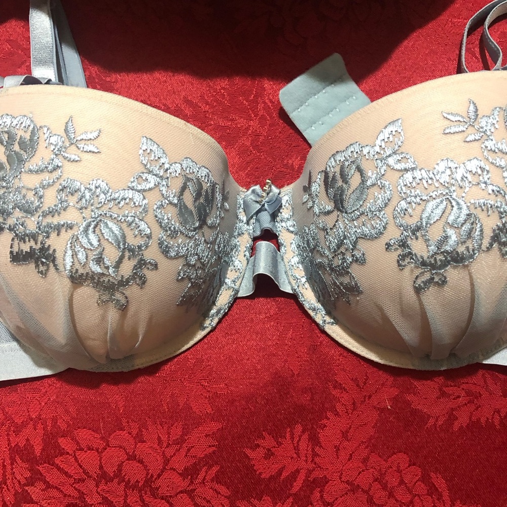 Elegant Lace Embroidered Bra - Cream and Silver